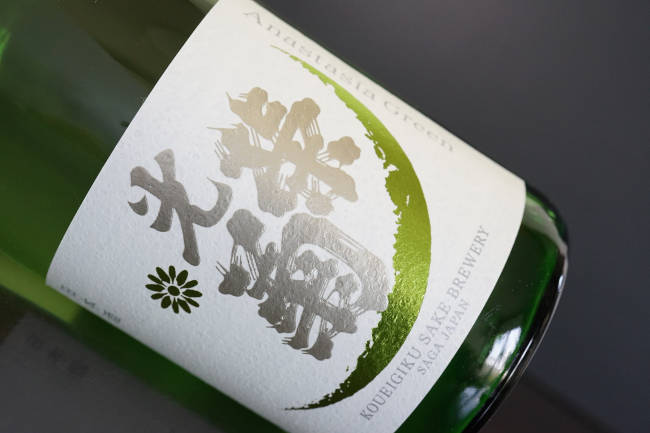 光栄菊　アナスタシアグリーン