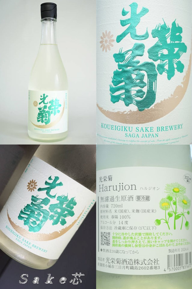 光栄菊　Harujion　ハルジオン
