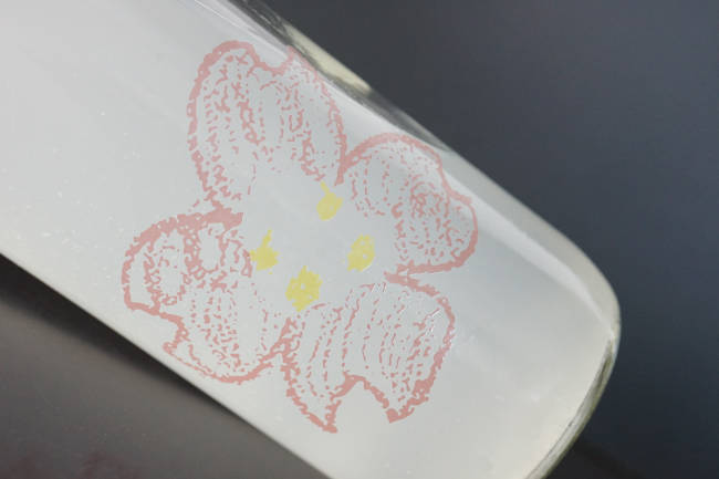 仙禽　さくら　OHANAMI