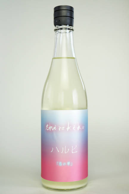 白木久　ハルヒ　「恋の華」