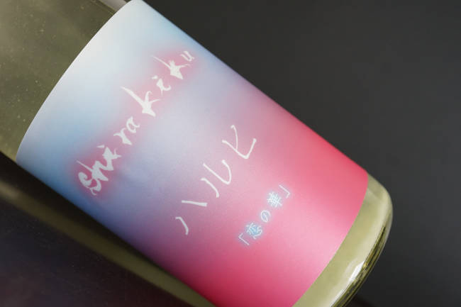 白木久　ハルヒ　「恋の華」