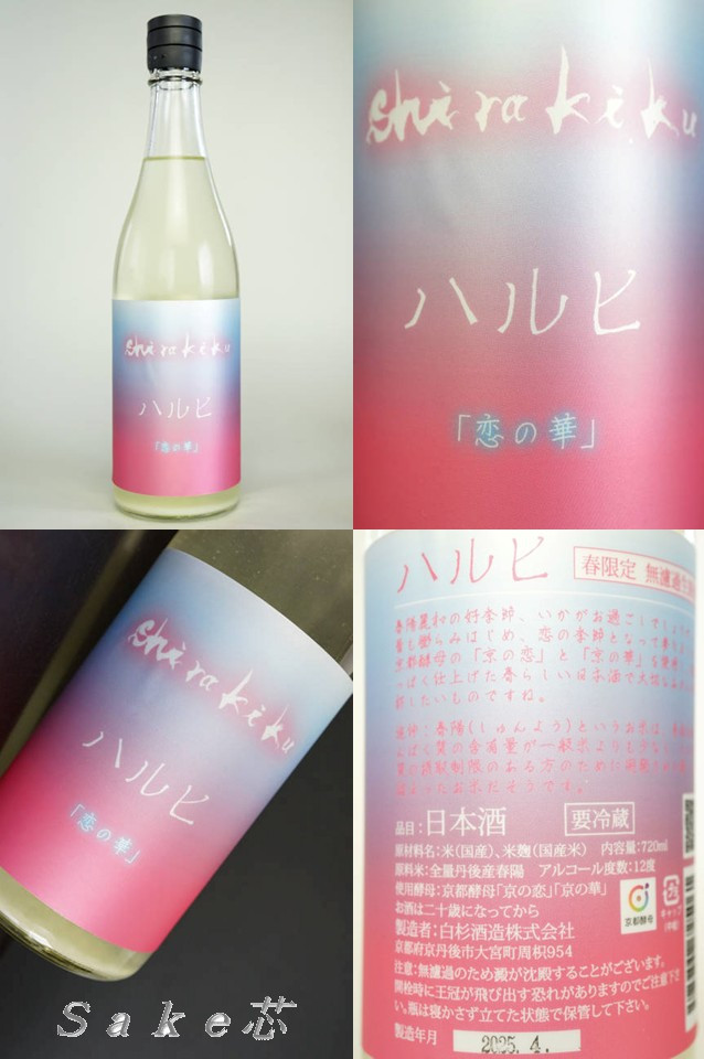 白木久　ハルヒ　「恋の華」